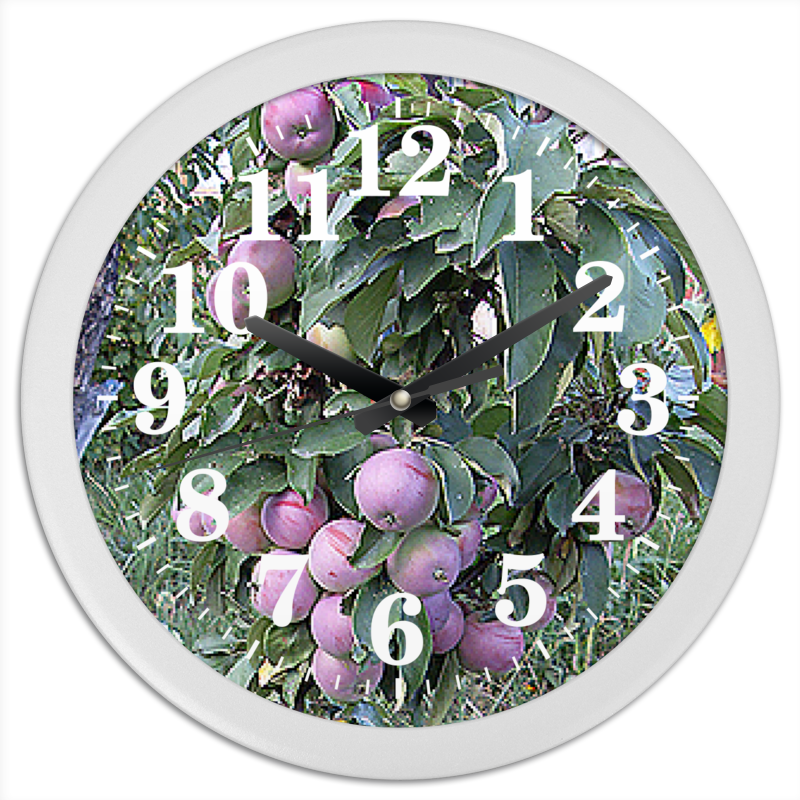 printio часы круглые из пластика время киви Printio Часы круглые из пластика Время урожая.