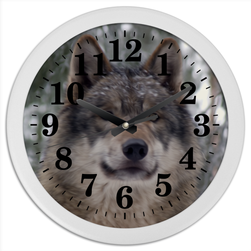 Printio Часы круглые из пластика Волк в лесу