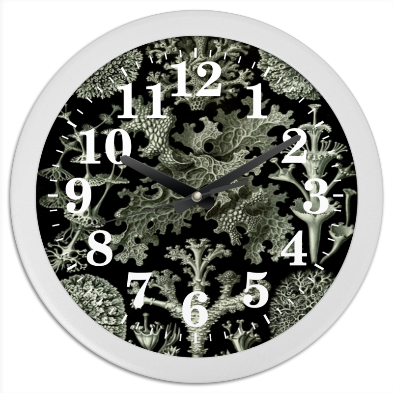 Printio Часы круглые из пластика Лишайники (lichenes, ernst haeckel) printio часы круглые из дерева лишайники lichenes ernst haeckel