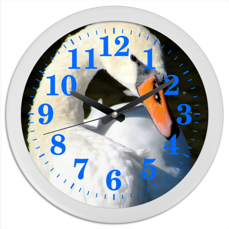 Printio Часы круглые из пластика Лебедь