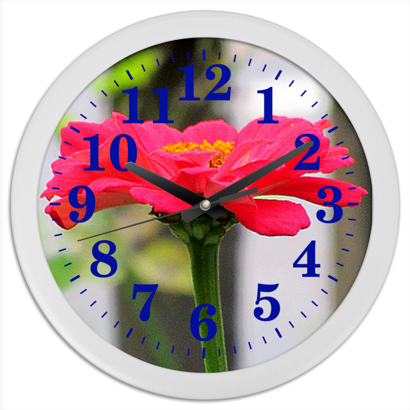 Printio Часы круглые из пластика Красный цветок printio часы круглые из пластика красный цветок