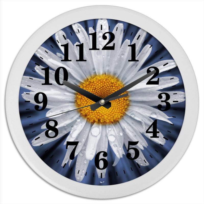 Printio Часы круглые из пластика Часы ромашка printio часы круглые из пластика звездный час