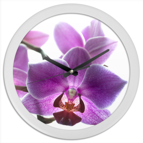 Заказать часы для офиса в Москве. Часы круглые из пластика Орхидея от Оксана Музыка - готовые дизайны и нанесение принтов.