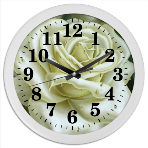 Заказать часы для офиса в Москве. Часы круглые из пластика Белая роза от Inna Novitskaya - готовые дизайны и нанесение принтов.