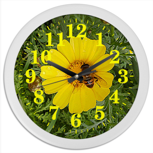 Заказать часы для офиса в Москве. Часы круглые из пластика Медовое время. от Eva De Peron.  - готовые дизайны и нанесение принтов.