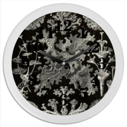 Заказать часы для офиса в Москве. Часы круглые из пластика Лишайники (Lichenes, Ernst Haeckel) от Apfelbaum - готовые дизайны и нанесение принтов.