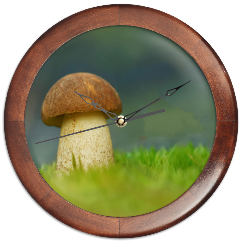 Printio Часы круглые из дерева Белый гриб. на лесной поляне
