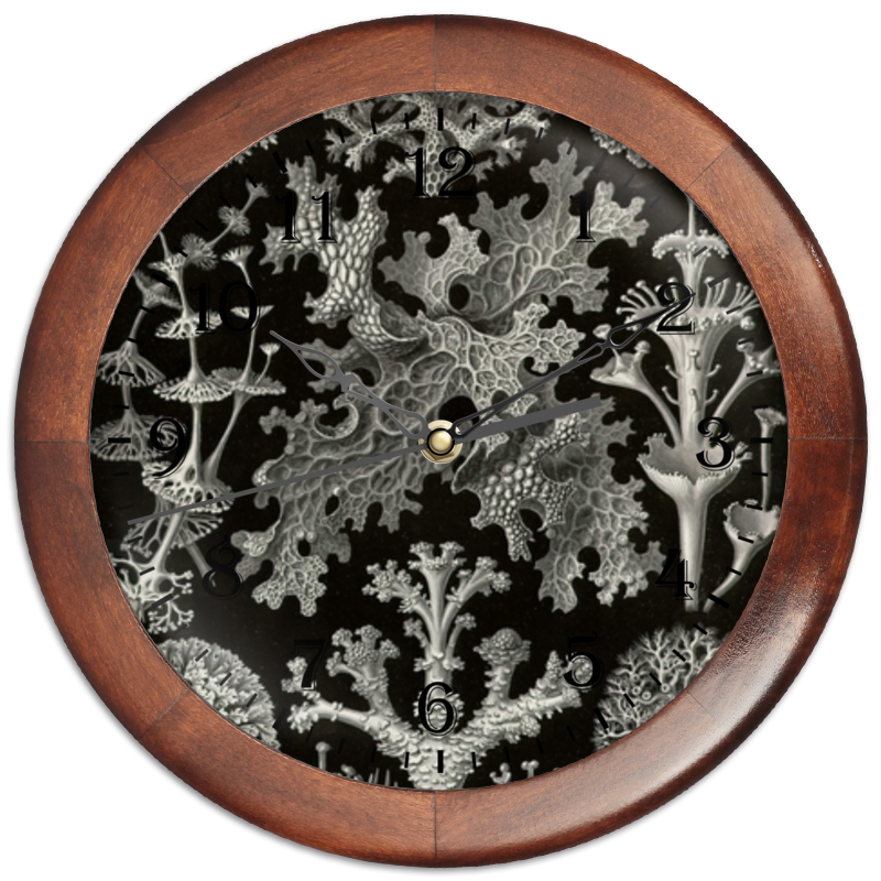 Printio Часы круглые из дерева Лишайники (lichenes, ernst haeckel) printio футболка с полной запечаткой мужская лишайники lichenes ernst haeckel