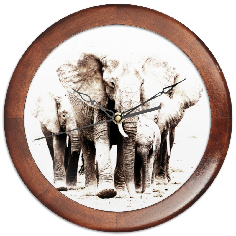 Printio Часы круглые из дерева Семья слонов силиконовый чехол на vivo x21s узор из слонов для виво икс21 с