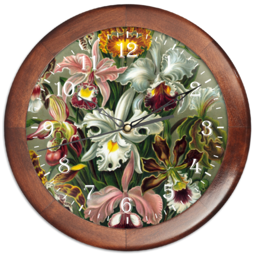 Заказать часы для офиса в Москве. Часы круглые из дерева Орхидеи (Orchideae, Ernst Haeckel) от Apfelbaum - готовые дизайны и нанесение принтов.