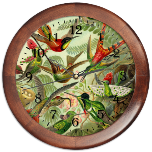 Заказать часы для офиса в Москве. Часы круглые из дерева Колибри (Trochilidae, Ernst Haeckel) от Apfelbaum - готовые дизайны и нанесение принтов.