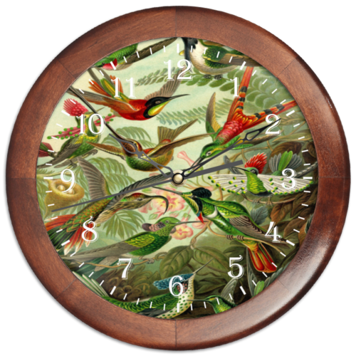 Заказать часы для офиса в Москве. Часы круглые из дерева Колибри (Trochilidae, Ernst Haeckel) от Apfelbaum - готовые дизайны и нанесение принтов.
