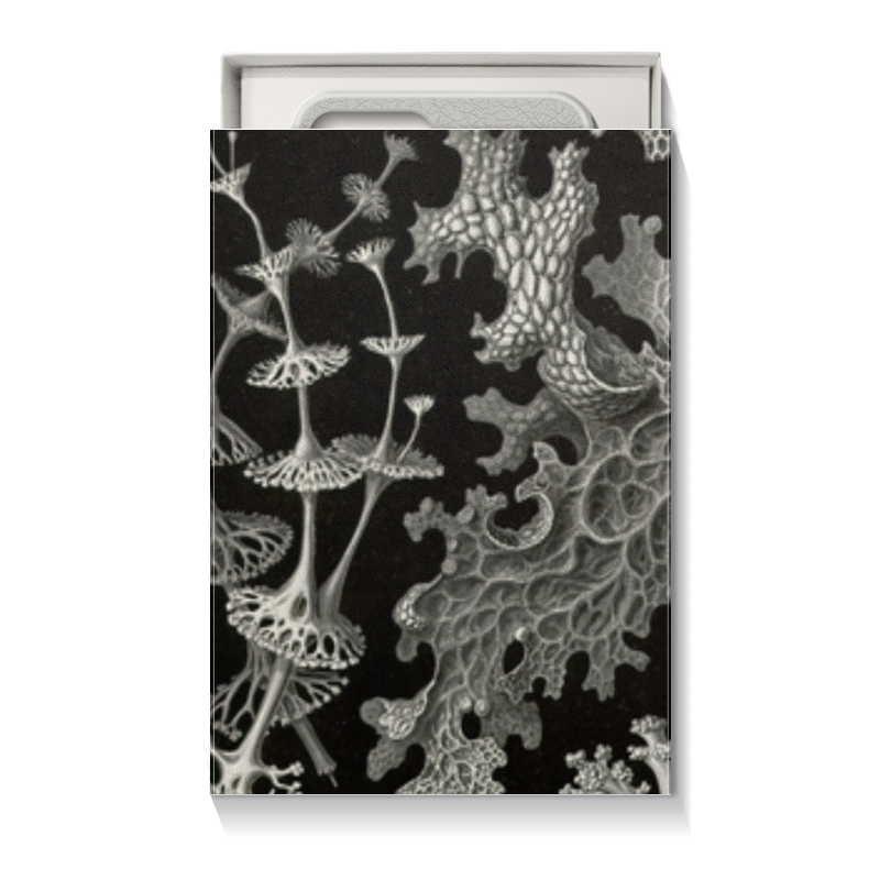 Printio Коробка для чехлов Лишайники (lichenes, ernst haeckel)
