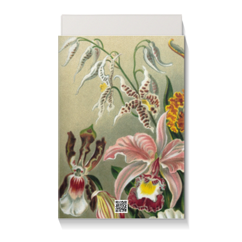 Заказать подарочную упаковку в Москве. Коробка для чехлов Орхидеи Эрнста Геккеля от Apfelbaum - готовые дизайны и нанесение принтов.