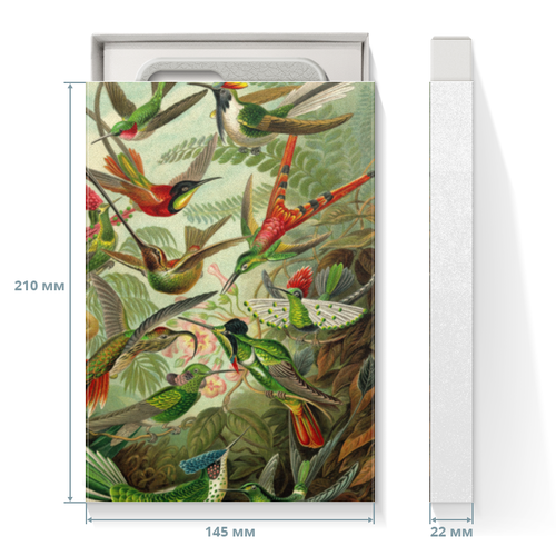 Заказать подарочную упаковку в Москве. Коробка для чехлов Колибри (Trochilidae, Ernst Haeckel) от Apfelbaum - готовые дизайны и нанесение принтов.