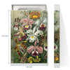 Заказать подарочную упаковку в Москве. Коробка для чехлов Орхидеи (Orchideae, Ernst Haeckel) от Apfelbaum - готовые дизайны и нанесение принтов.
