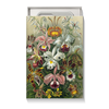 Заказать подарочную упаковку в Москве. Коробка для чехлов Орхидеи (Orchideae, Ernst Haeckel) от Apfelbaum - готовые дизайны и нанесение принтов.