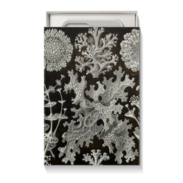 Заказать подарочную упаковку в Москве. Коробка для чехлов Лишайники (Lichenes, Ernst Haeckel) от Apfelbaum - готовые дизайны и нанесение принтов.