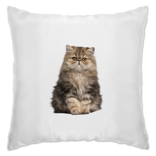 Заказать подушку в Москве. Подушка котенок от THE_NISE  - готовые дизайны и нанесение принтов.