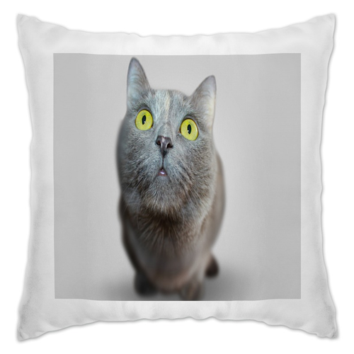Заказать подушку в Москве. Подушка Серый кот от THE_NISE  - готовые дизайны и нанесение принтов.
