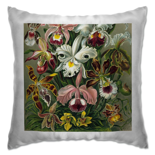 Заказать подушку в Москве. Подушка Орхидеи (Orchideae, Ernst Haeckel) от Apfelbaum - готовые дизайны и нанесение принтов.