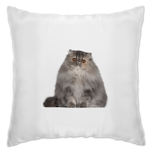 Заказать подушку в Москве. Подушка кошка от THE_NISE  - готовые дизайны и нанесение принтов.