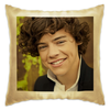 Заказать подушку в Москве. Подушка Harry Styles от aleksandra - готовые дизайны и нанесение принтов.