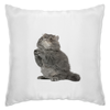 Заказать подушку в Москве. Подушка котенок от THE_NISE  - готовые дизайны и нанесение принтов.