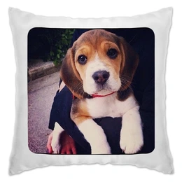 Заказать подушку в Москве. Подушка I love dogs от Марти - готовые дизайны и нанесение принтов.