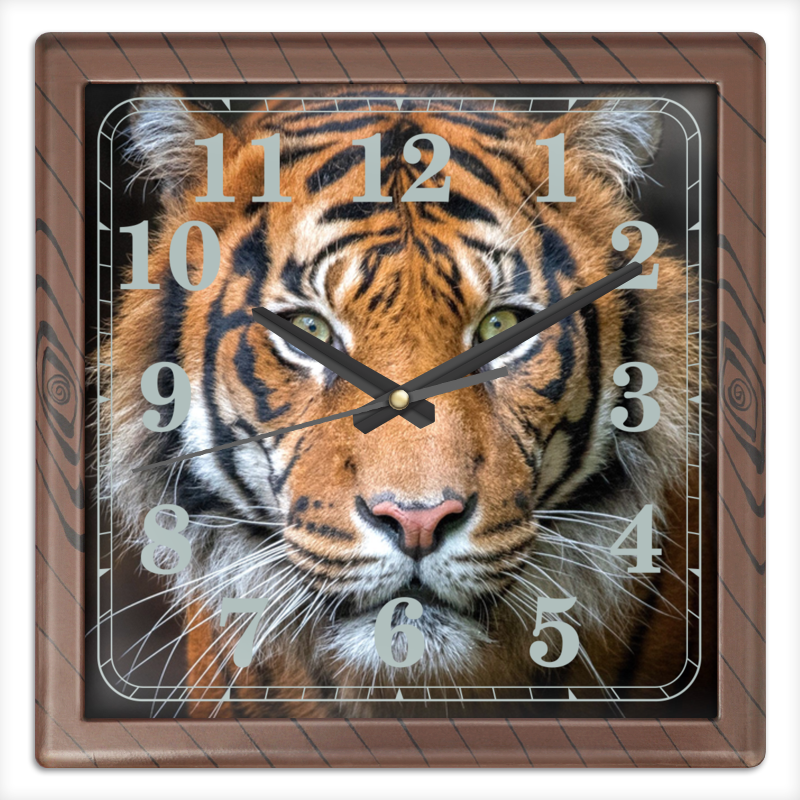 Printio Часы квадратные из пластика (под дерево) Тигры. живая природа