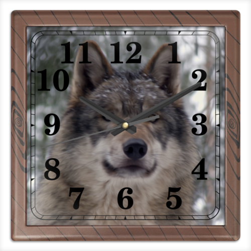 Заказать часы для офиса в Москве. Часы квадратные из пластика (под дерево) Волк в лесу от weeert - готовые дизайны и нанесение принтов.