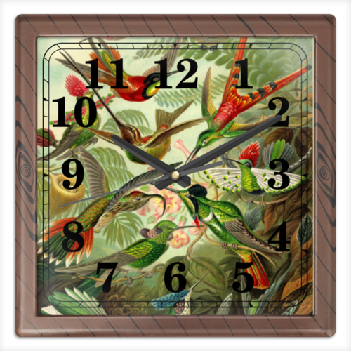 Заказать часы для офиса в Москве. Часы квадратные из пластика (под дерево) Колибри (Trochilidae, Ernst Haeckel) от Apfelbaum - готовые дизайны и нанесение принтов.