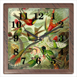 Заказать часы для офиса в Москве. Часы квадратные из пластика (под дерево) Колибри (Trochilidae, Ernst Haeckel) от Apfelbaum - готовые дизайны и нанесение принтов.