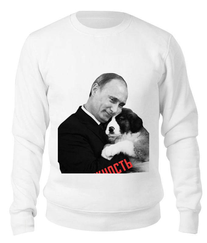 Printio Свитшот унисекс хлопковый Госнежность