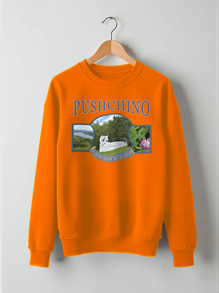 Заказать свитшот в Москве. Свитшот унисекс хлопковый Сувениры наукограда Пущино от Andy Quarry - готовые дизайны и нанесение принтов.