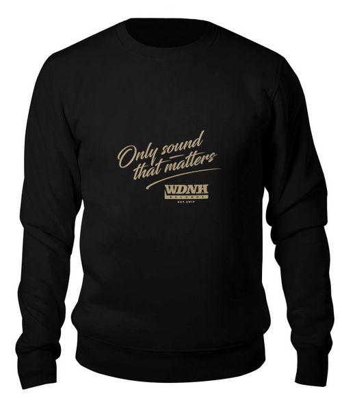 Заказать свитшот в Москве. Свитшот унисекс хлопковый WDNH Records black hoodie от Alcochat - готовые дизайны и нанесение принтов.