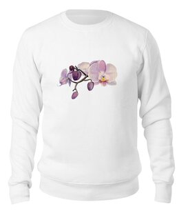 Заказать свитшот в Москве. Свитшот унисекс хлопковый ветка орхидеи от okonit - готовые дизайны и нанесение принтов.