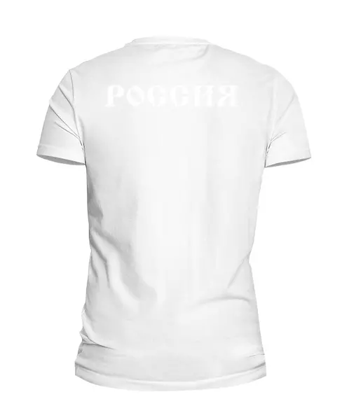 Заказать мужскую футболку в Москве. Футболка базовая Россия от fans - готовые дизайны и нанесение принтов.