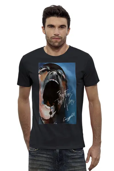 Заказать мужскую футболку в Москве. Футболка базовая Pink Floyd от Рафаэль Вагисович - готовые дизайны и нанесение принтов.