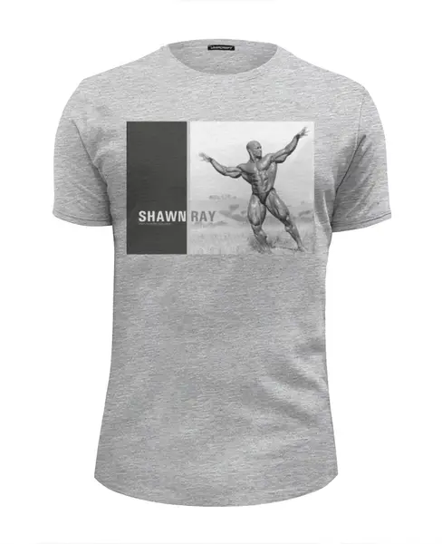 Заказать мужскую футболку в Москве. Футболка базовая Shawn Ray / Шон Рей  от KinoArt - готовые дизайны и нанесение принтов.