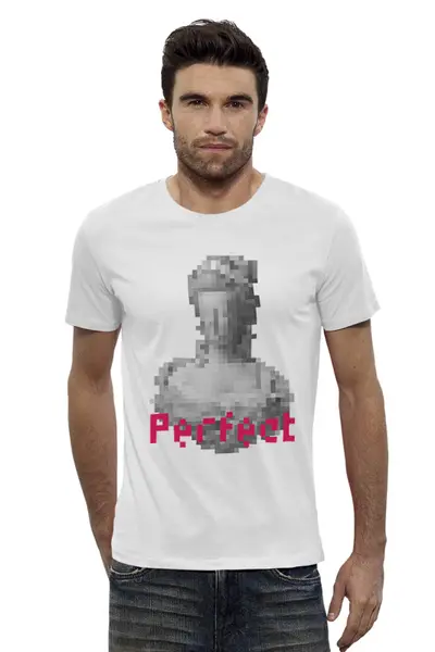 Заказать мужскую футболку в Москве. Футболка базовая Perfect от wenk-79@mail.ru - готовые дизайны и нанесение принтов.
