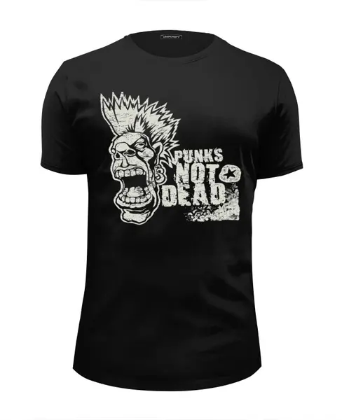 Заказать мужскую футболку в Москве. Футболка базовая Punks Not Dead от Leichenwagen - готовые дизайны и нанесение принтов.