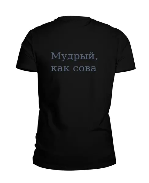 Заказать мужскую футболку в Москве. Футболка базовая Мудрый, как сова от jady_lady - готовые дизайны и нанесение принтов.