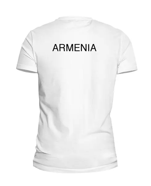 Заказать мужскую футболку в Москве. Футболка базовая ARMENIA АРМЕНИЯ от ar_lev - готовые дизайны и нанесение принтов.