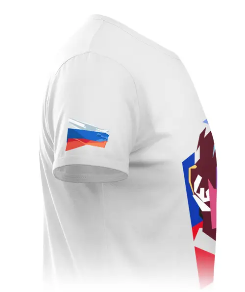 Заказать мужскую футболку в Москве. Футболка базовая Путин от Alexey Kashin - готовые дизайны и нанесение принтов.