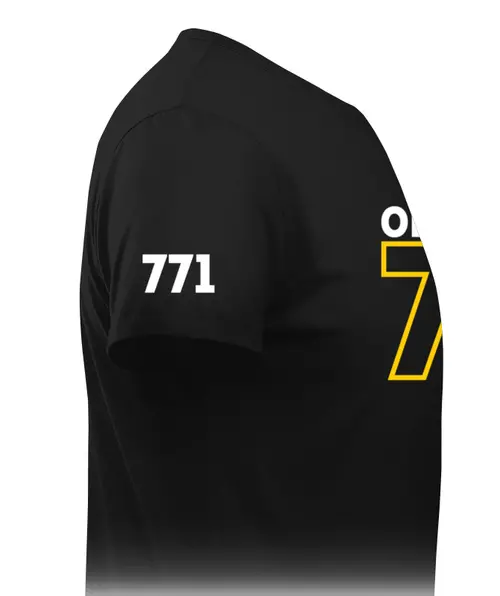 Заказать мужскую футболку в Москве. Футболка базовая 771 Premium муж. от Виталий Реуков - готовые дизайны и нанесение принтов.