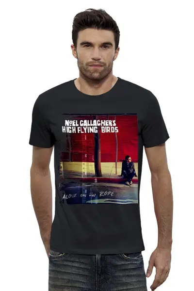Заказать мужскую футболку в Москве. Футболка базовая Noel Gallagher's High Flying Birds от Денис - готовые дизайны и нанесение принтов.