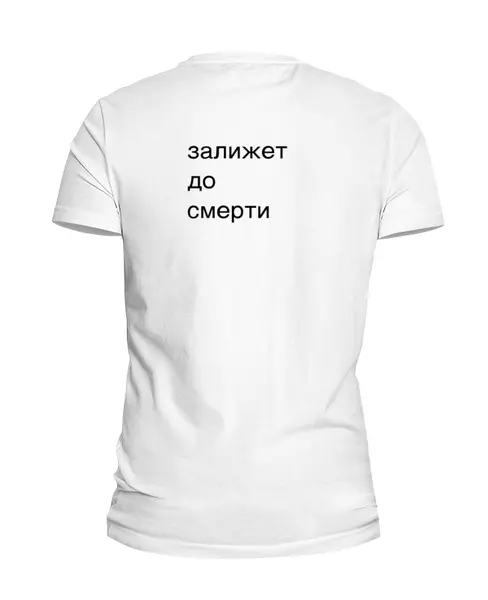 Заказать мужскую футболку в Москве. Футболка базовая Не будите зверя от va-zaitsev - готовые дизайны и нанесение принтов.