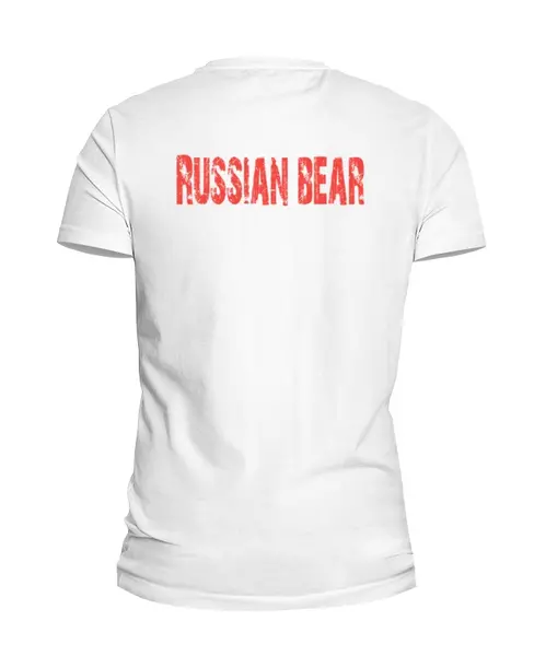 Заказать мужскую футболку в Москве. Футболка базовая Russian Bear от Andrey Akimov - готовые дизайны и нанесение принтов.