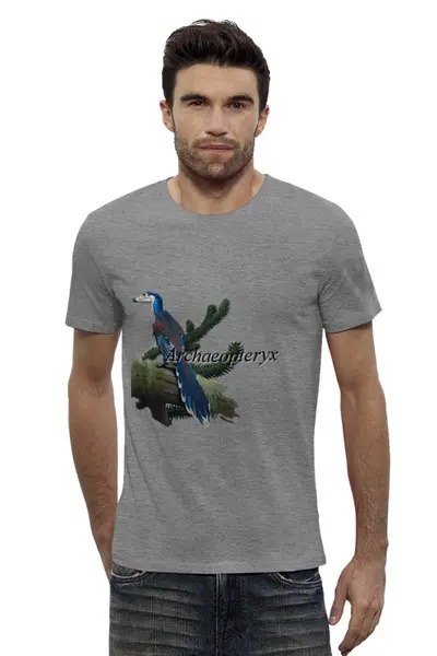 Заказать мужскую футболку в Москве. Футболка базовая Archaeopteryx от anat-snake2013@yandex.ru - готовые дизайны и нанесение принтов.